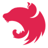 Nest JS